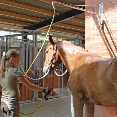 paarden wassen met paardendouche