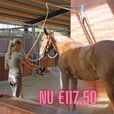 Paardendouche zwenkarm voor wasplaats