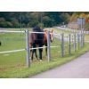 Weidepaal kunststof bruin 6 X 200 cm