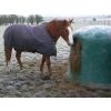 Hooistolp voor paarden