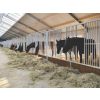 Pro Line voerhek met schuifdeur voor paarden,