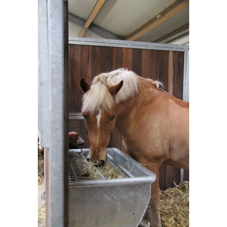 Slowfeeder hooiruif met rantsoenraster