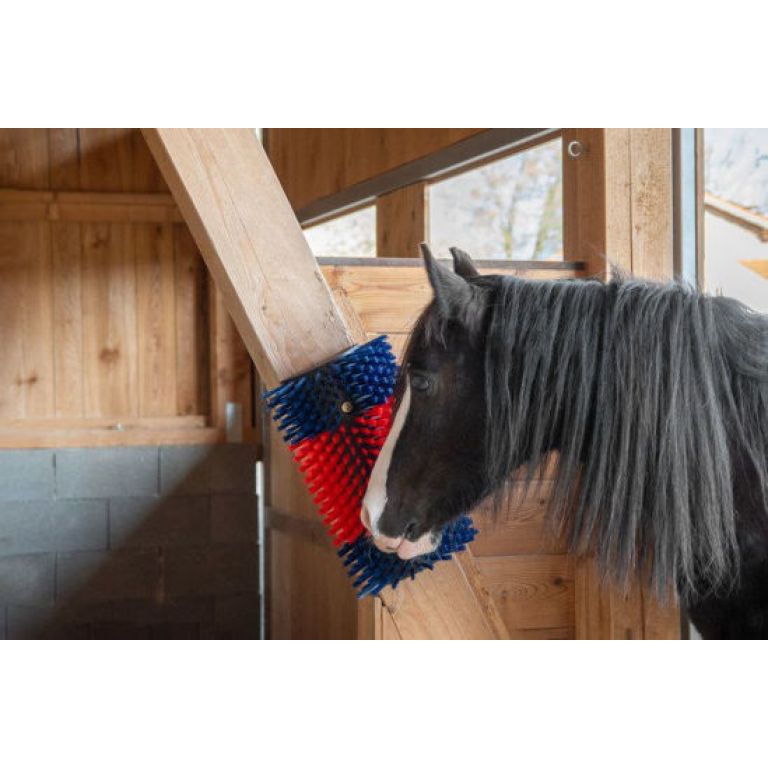 Halfronde veeborstel XL voor rundvee en paarden