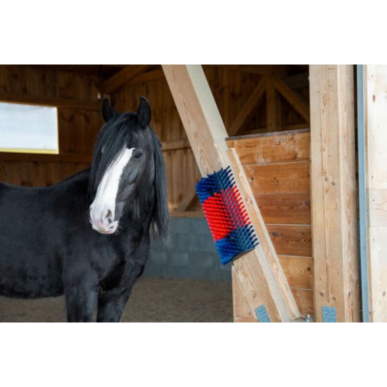 Halfronde veeborstel XL voor rundvee en paarden