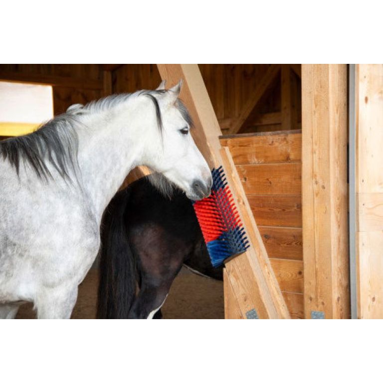 Halfronde veeborstel XL voor rundvee en paarden