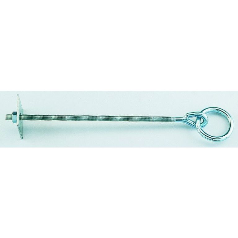 Vastzetring met draadeind M10 25cm