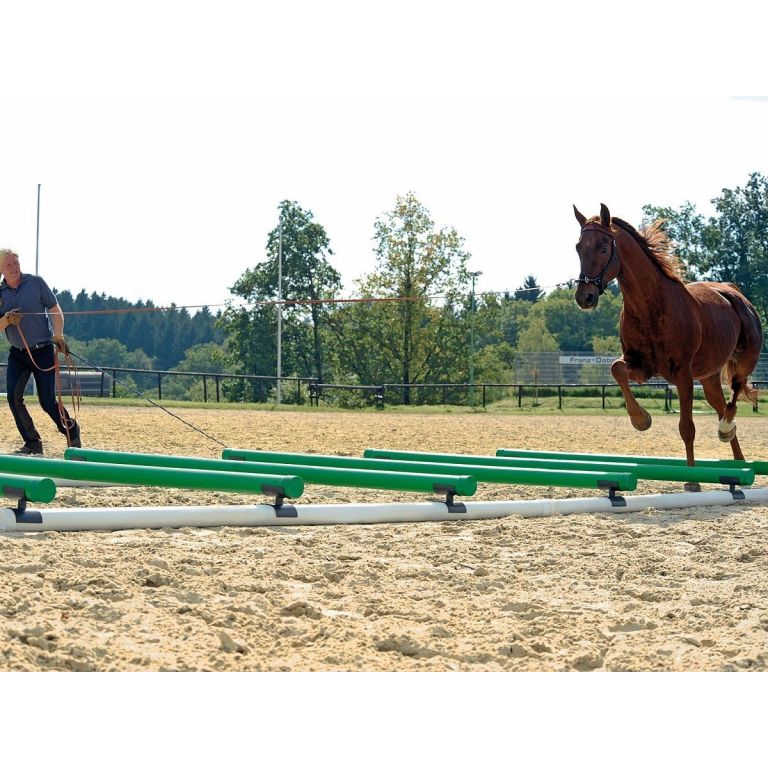 NIEUW WingX cavalettibalk-steunen