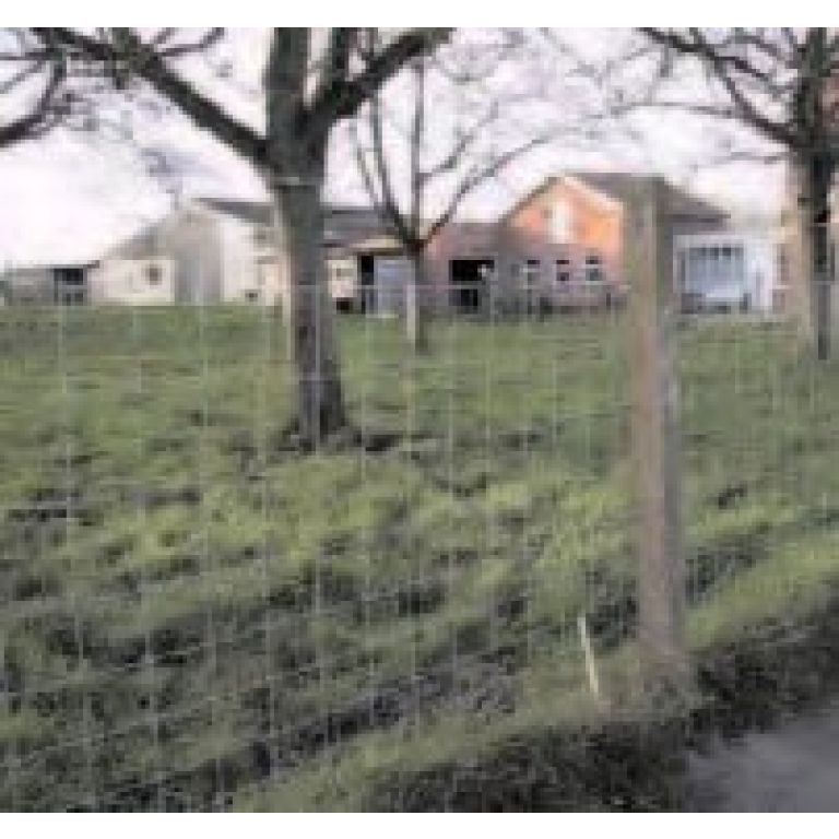 Budget schapengaas lichte uitvoering 200 cm hoog, 22 horizontale draden
