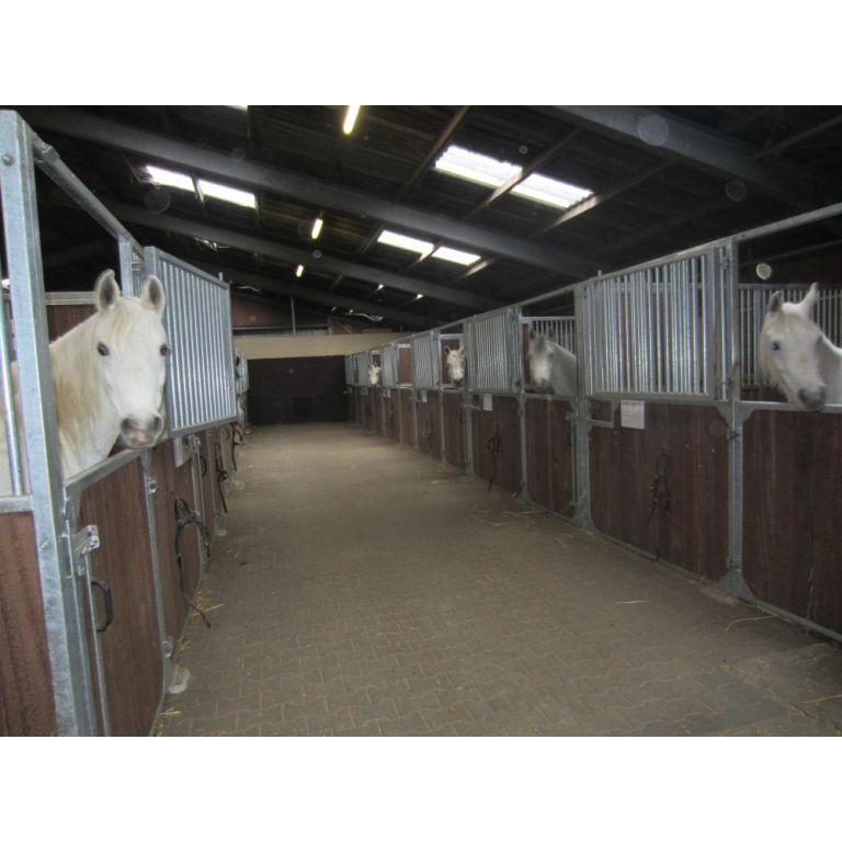 Voorwand type Evando, Bongossihout, tot 250 cm