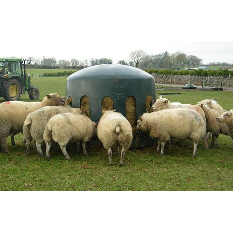 Hooistolp voor schapen