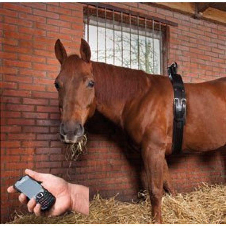 Birth Alarm Mobile 2.0 voor GSM compleet met anti-rolsingel