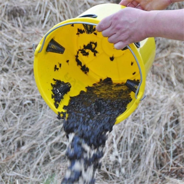 na 4-8 weken de volle FlyBucket FlyX emmer legen