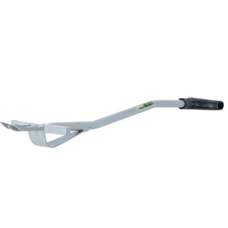 Rag-Fork Jacobskruiskruidvork 