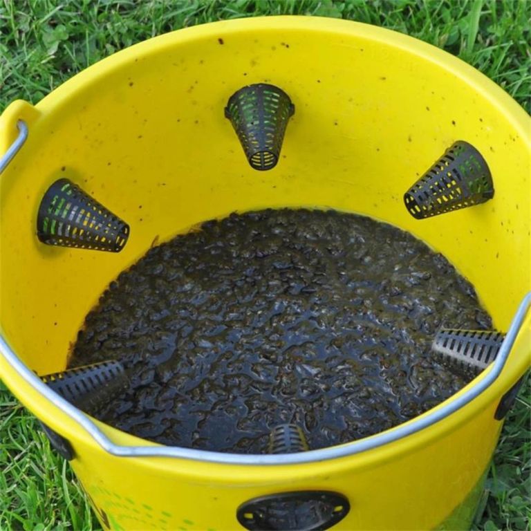 Vliegen verdrinken in de FlyBucket lokstof