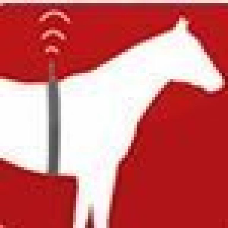 Antenne voor Birth Alarm Classic 433Mhz