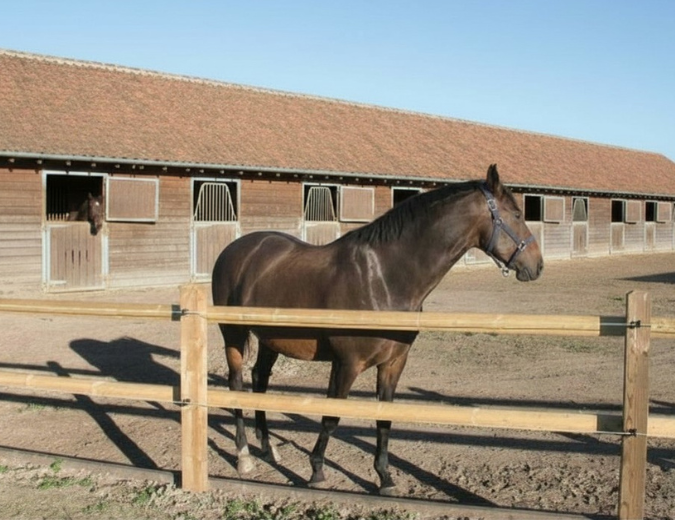 Houten omheining