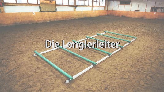 longeerladder WingX